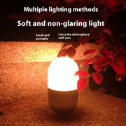 LED Light For Camping By Linorya